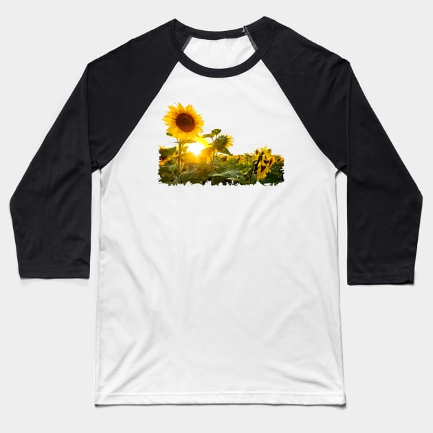 Sunflower Baseball T-Shirt by Mel's Stuff